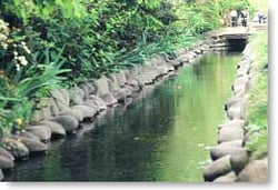 野火止用水
